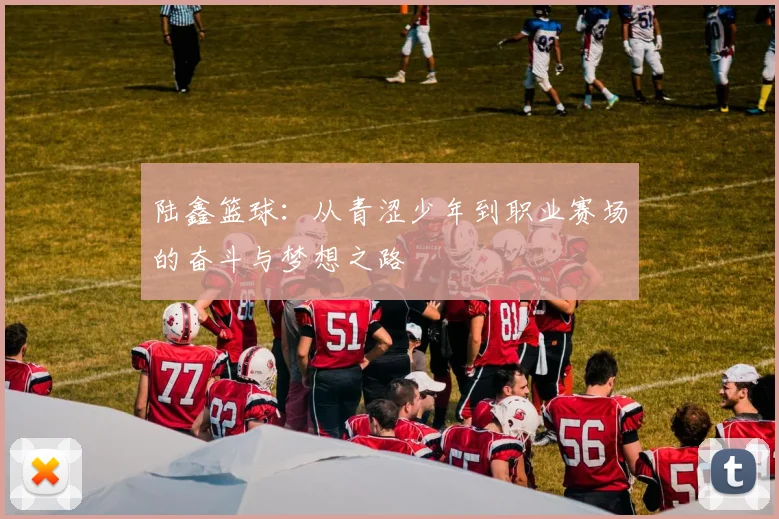 陆鑫篮球：从青涩少年到职业赛场的奋斗与梦想之路