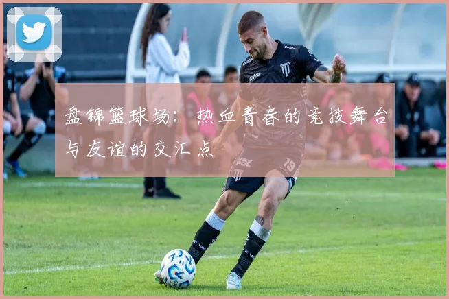 盘锦篮球场：热血青春的竞技舞台与友谊的交汇点