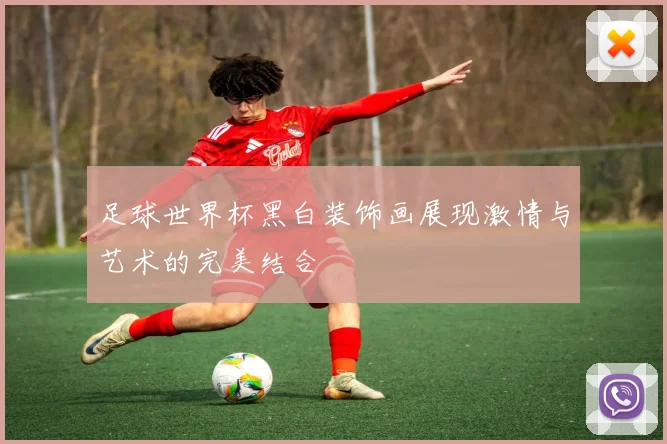 足球世界杯黑白装饰画展现激情与艺术的完美结合