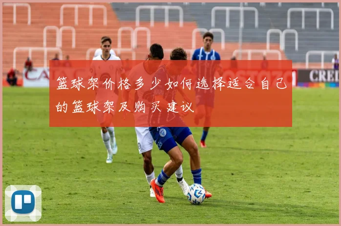 篮球架价格多少如何选择适合自己的篮球架及购买建议